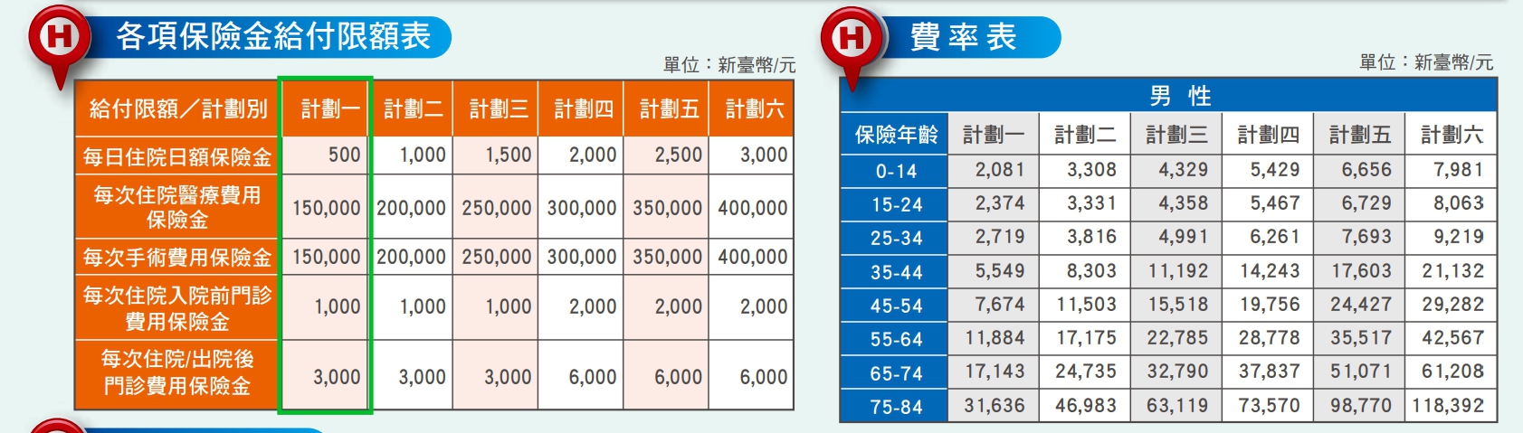 宏泰 人壽 薰衣草