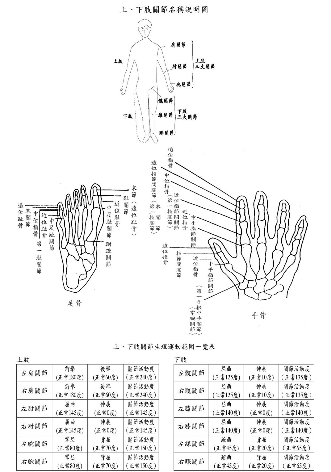 上、下肢關節名稱說明圖